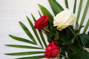 Red Roses and Palm Leaves Design